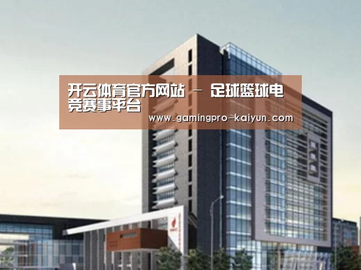 开云电竞案例展示四