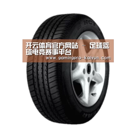 开云电竞产品名称四