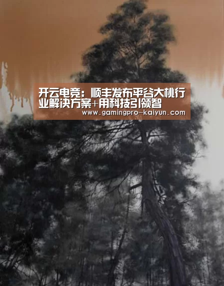 开云竞猜