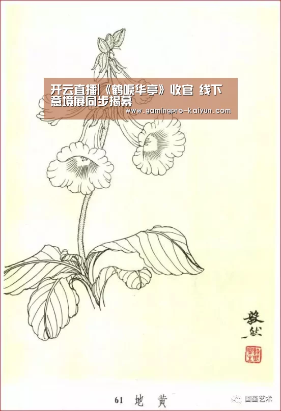 开云电竞