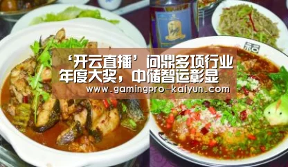 ‘开云直播’问鼎多项行业年度大奖,中储智运彰显整体领先实力(图1) 开云竞猜