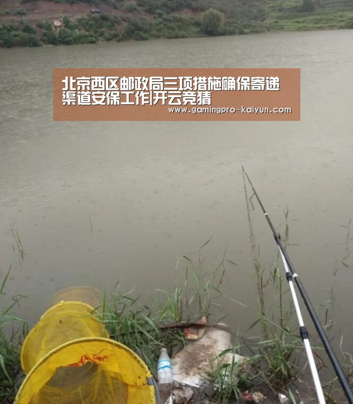 开云竞猜